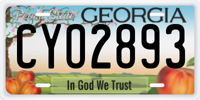 GA license plate CYO2893