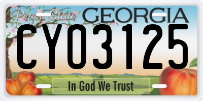 GA license plate CYO3125