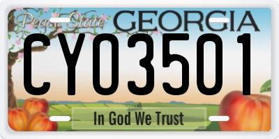 GA license plate CYO3501