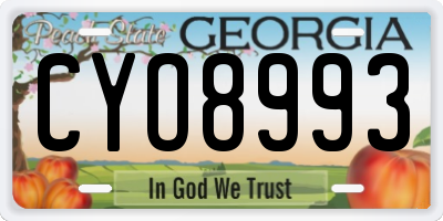 GA license plate CYO8993
