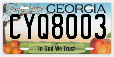 GA license plate CYQ8003