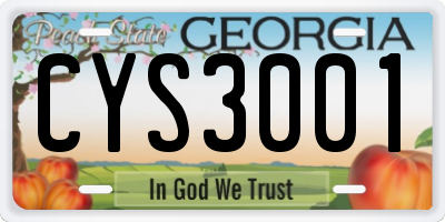 GA license plate CYS3001