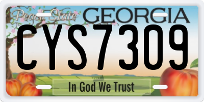 GA license plate CYS7309