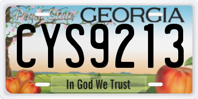 GA license plate CYS9213