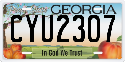 GA license plate CYU2307