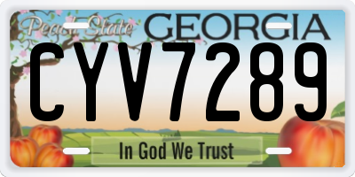 GA license plate CYV7289