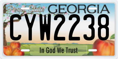 GA license plate CYW2238