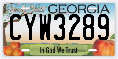 GA license plate CYW3289