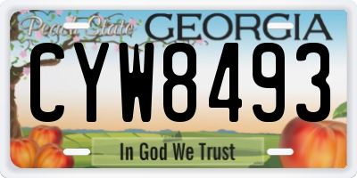 GA license plate CYW8493