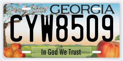 GA license plate CYW8509