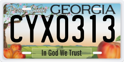 GA license plate CYX0313