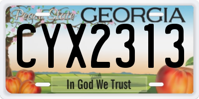 GA license plate CYX2313