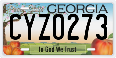 GA license plate CYZ0273