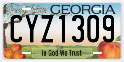 GA license plate CYZ1309