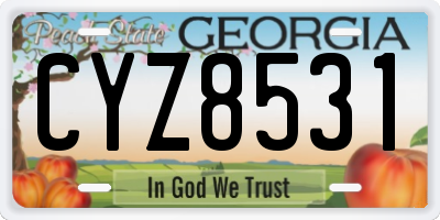 GA license plate CYZ8531