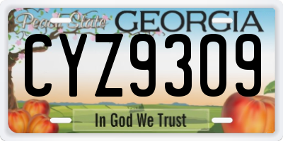 GA license plate CYZ9309