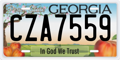 GA license plate CZA7559