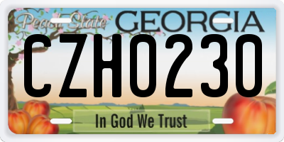 GA license plate CZH0230