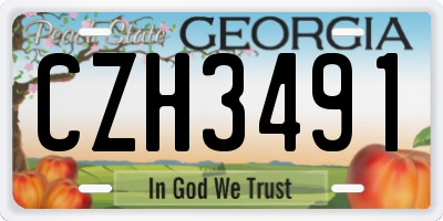 GA license plate CZH3491