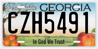 GA license plate CZH5491