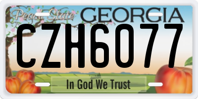 GA license plate CZH6077