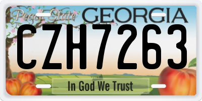 GA license plate CZH7263