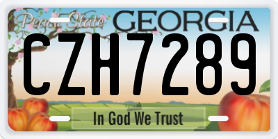 GA license plate CZH7289