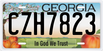 GA license plate CZH7823