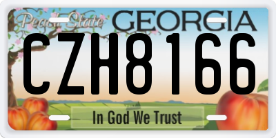 GA license plate CZH8166