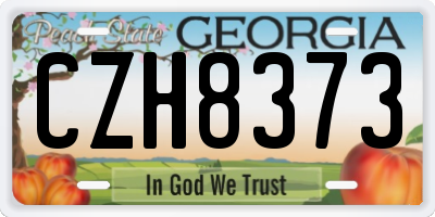 GA license plate CZH8373