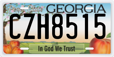 GA license plate CZH8515
