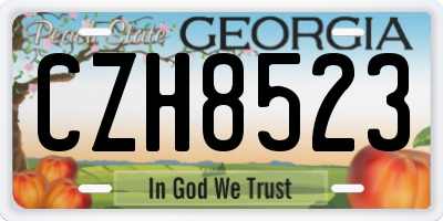 GA license plate CZH8523