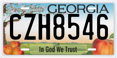 GA license plate CZH8546