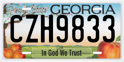 GA license plate CZH9833
