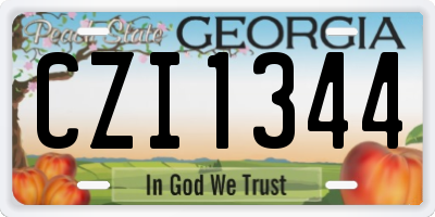 GA license plate CZI1344