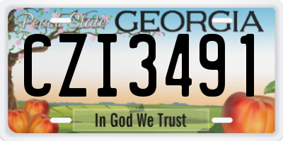GA license plate CZI3491
