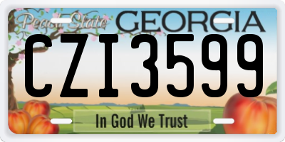 GA license plate CZI3599