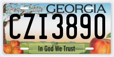GA license plate CZI3890