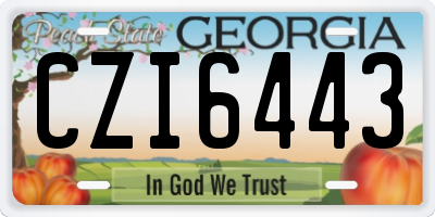 GA license plate CZI6443