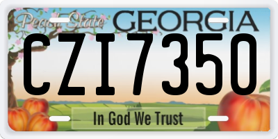 GA license plate CZI7350