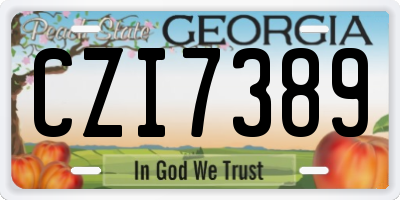 GA license plate CZI7389