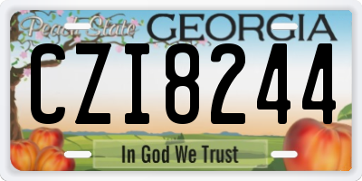 GA license plate CZI8244