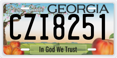 GA license plate CZI8251
