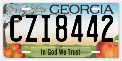 GA license plate CZI8442