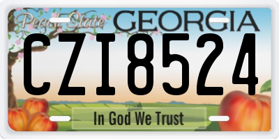GA license plate CZI8524