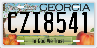 GA license plate CZI8541