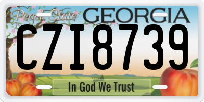 GA license plate CZI8739