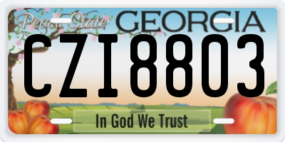GA license plate CZI8803