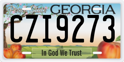 GA license plate CZI9273