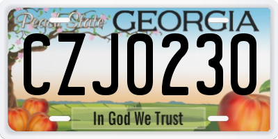 GA license plate CZJ0230